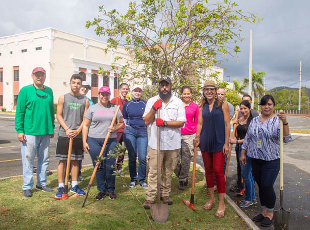Personal del Centro Judicial de Fajardo participó hoy de la siembra de 56 árboles nativos en los alrededores de su sede. Personal del Centro Judicial de Fajardo participó hoy de la siembra de 56 árboles nativos en los alrededores de su sede.